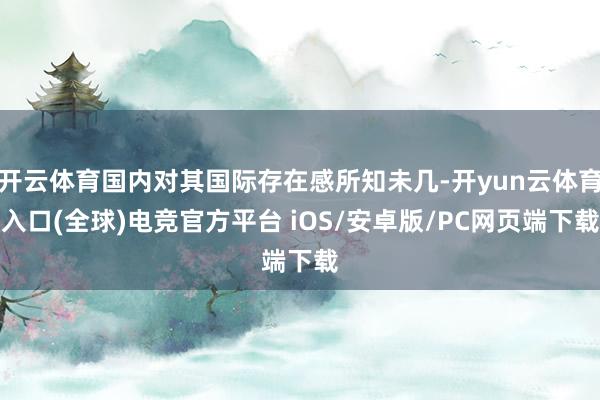 开云体育国内对其国际存在感所知未几-开yun云体育入口(全球)电竞官方平台 iOS/安卓版/PC网页端下载